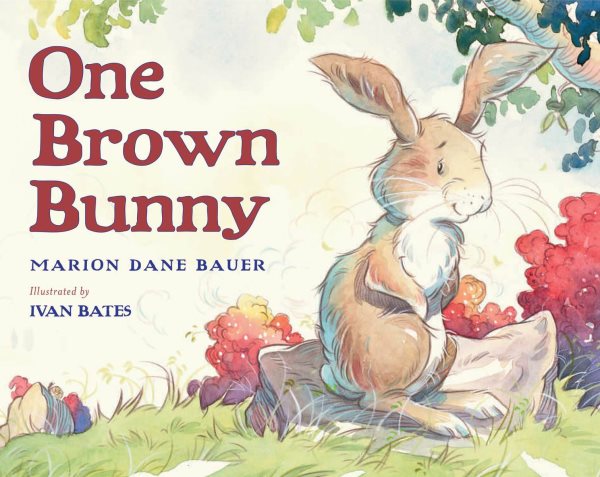 One Brown Bunny cover
