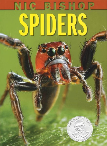 Nic Bishop Spiders (Sibert Honor Book) cover