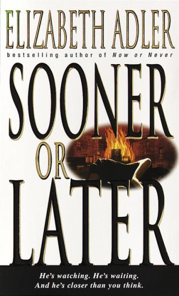 Sooner or Later: A Novel cover