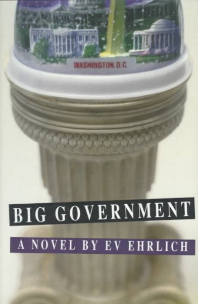 Big Government: A Novel cover