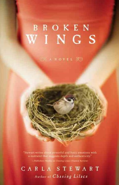 Broken Wings: A Novel cover