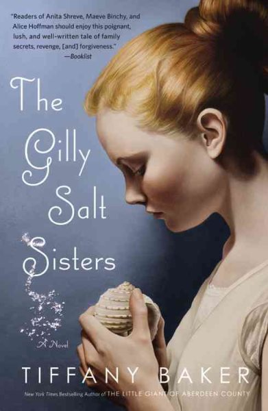 The Gilly Salt Sisters: A Novel cover