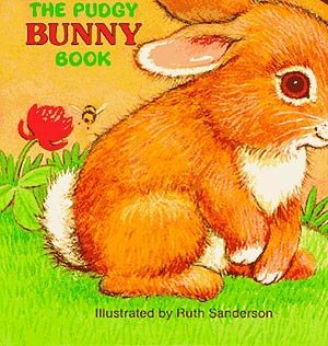 The Pudgy Bunny Book (Pudgy Board Books)