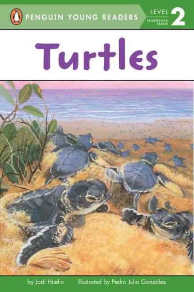 Turtles cover