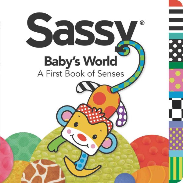 Baby's World: A First Book of Senses (Sassy)