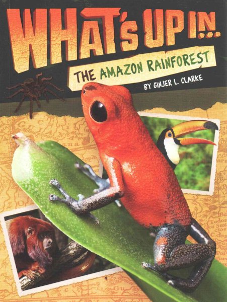 What's Up in the Amazon Rainforest cover