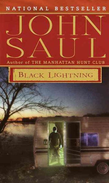 Black Lightning: A Novel cover