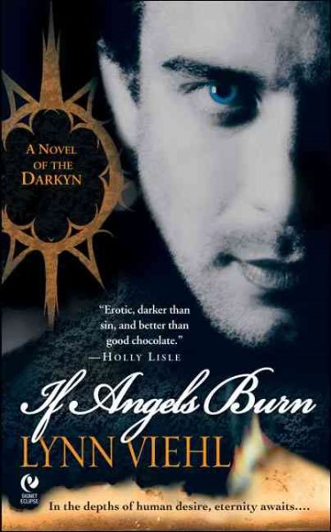 If Angels Burn: A Novel of the Darkyn cover