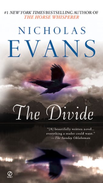 The Divide cover