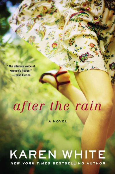 After the Rain (A Falling Home Novel) cover