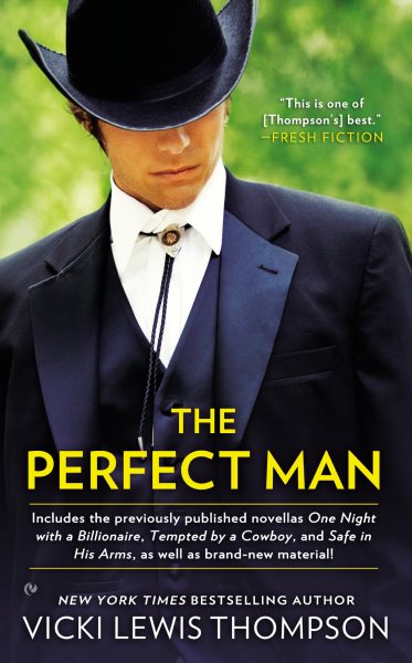 The Perfect Man cover
