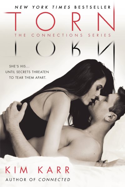 Torn (The Connections Series) cover