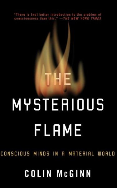 The Mysterious Flame: Conscious Minds in a Material World cover