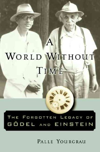A World Without Time: The Forgotten Legacy Of Godel And Einstein cover