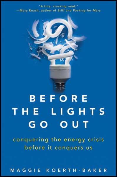 Before the Lights Go Out: Conquering the Energy Crisis Before It Conquers Us cover