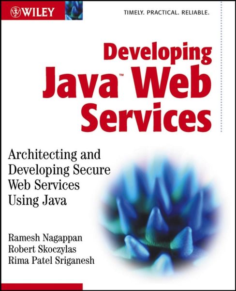 Developing Java Web Services cover