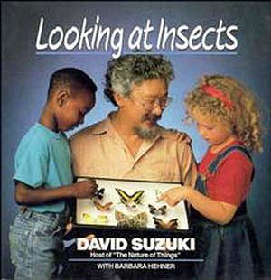 Looking at Insects (David Suzuki's Looking at Series) cover