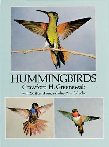 Hummingbirds cover