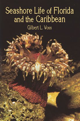Seashore Life of Florida and the Caribbean (Dover Pictorial Archive Series) cover
