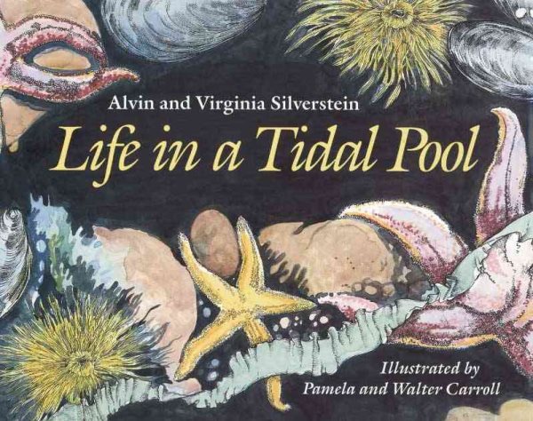 Life in a Tidal Pool cover