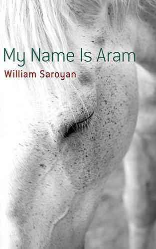 My Name Is Aram cover