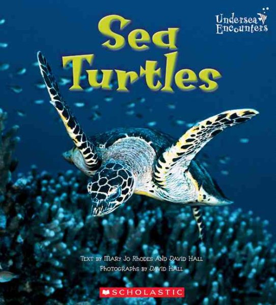 Sea Turtles (Undersea Encounters)