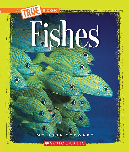 Fishes (True Books : Animals) cover