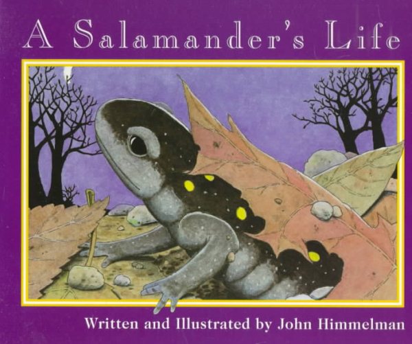 A Salamander's Life (Nature Upclose) cover