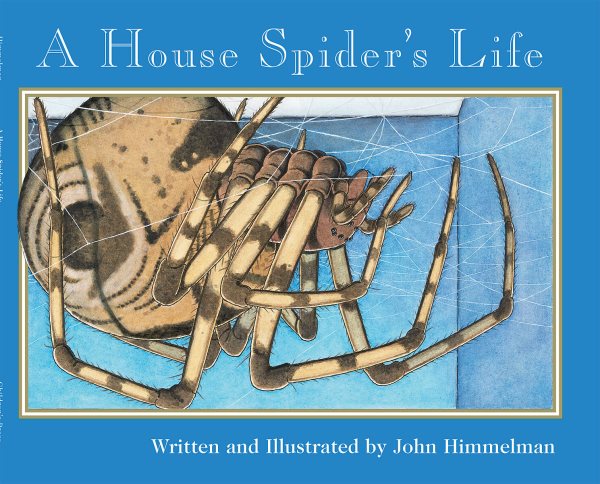 A House Spider's Life (Nature Upclose) cover