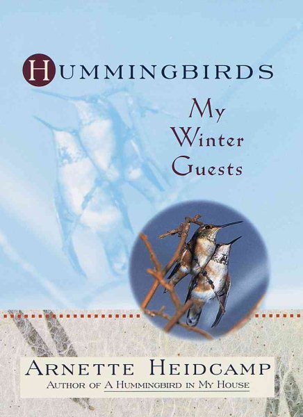 Hummingbirds: My Winter Guests