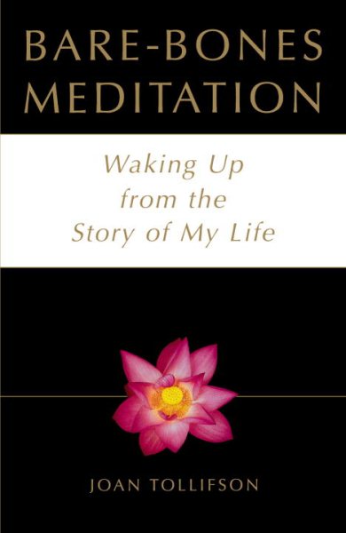 Bare-Bones Meditation: Waking Up from the Story of My Life cover