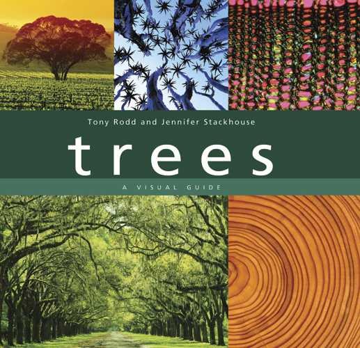 Trees: A Visual Guide cover