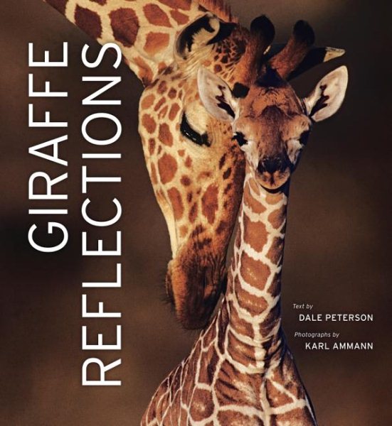 Giraffe Reflections cover