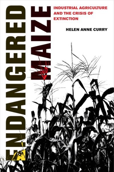 Endangered Maize cover