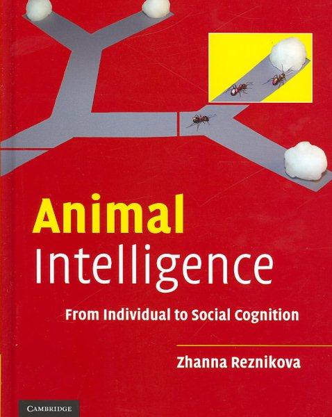 Animal Intelligence: From Individual to Social Cognition cover