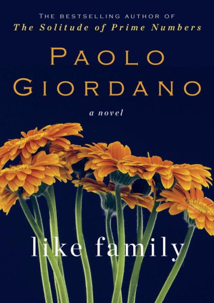 Like Family: A Novel cover