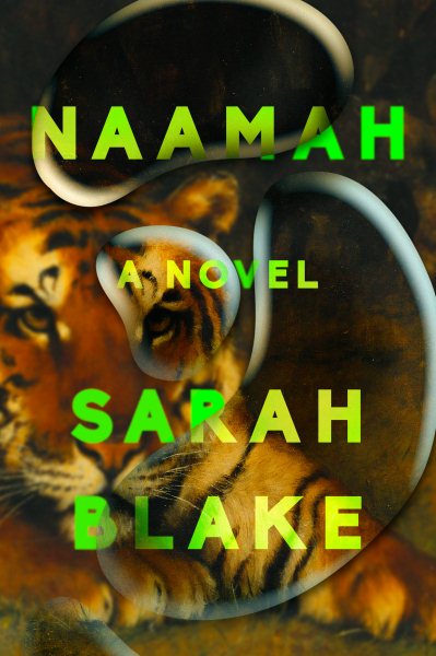 Naamah: A Novel cover