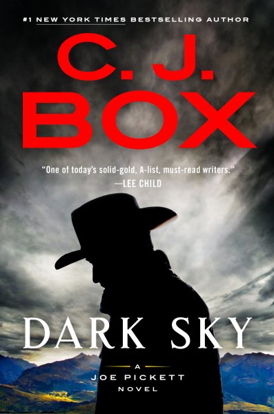 Dark Sky (A Joe Pickett Novel) cover