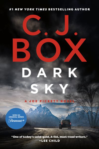 Dark Sky (A Joe Pickett Novel) cover