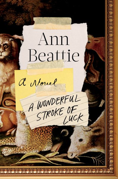 A Wonderful Stroke of Luck: A Novel cover