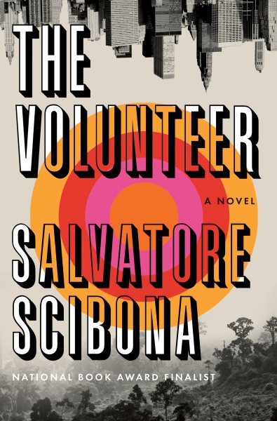 The Volunteer: A Novel cover