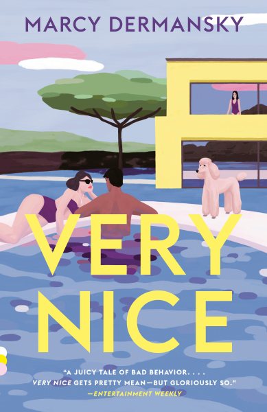 Very Nice: A novel (Vintage Contemporaries) cover