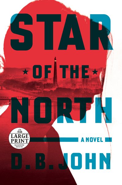 Star of the North: A Novel cover