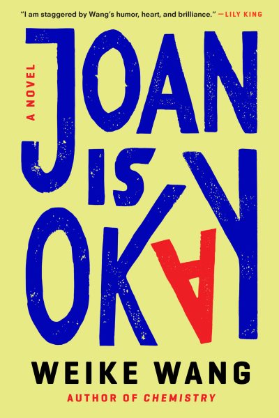 Joan Is Okay: A Novel cover