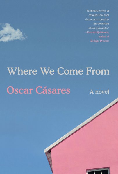 Where We Come From: A novel cover