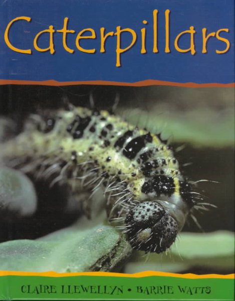 Caterpillars (Minibeasts) cover