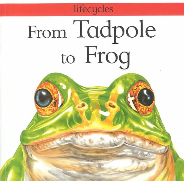 From Tadpole to Frog (Lifecycles) cover