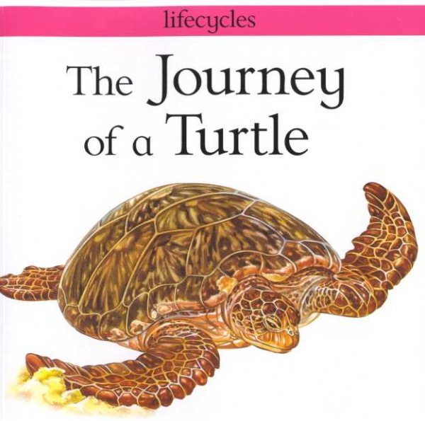The Journey of a Turtle (Lifecycles) cover