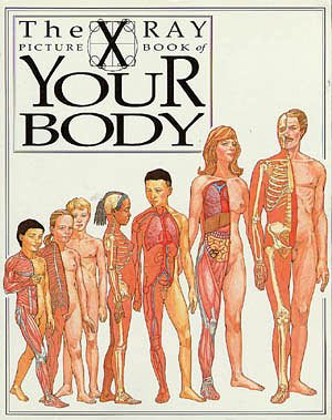 Your Body: X Ray Picture Book (X-Ray Picture Books)