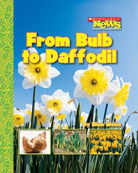 From Bulb to Daffodil (Scholastic News Nonfiction Readers) cover